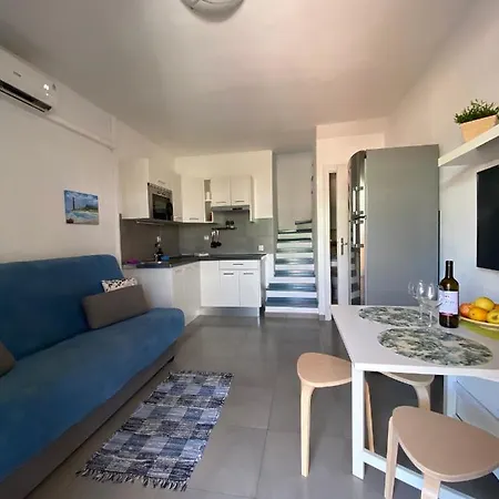 Oasis *