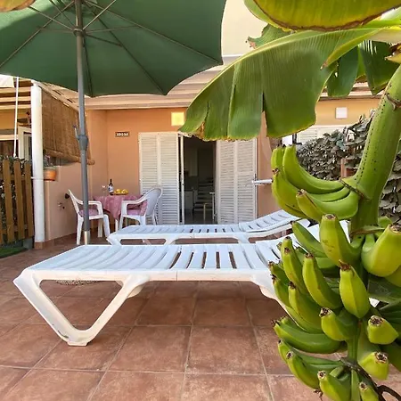 Oasis * Maspalomas (Gran Canaria)