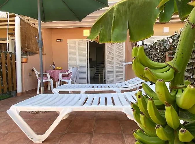 Oasis * Maspalomas (Gran Canaria)